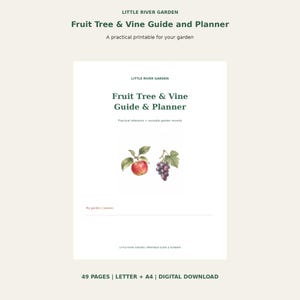 Op de afbeelding: Een printbare Fruit Tree & Vine Guide and Planner van Little River Garden. De witte omslag bevat donkergroene tekst, een aquarelillustratie van een appel en druiven, en een regel voor My garden / season. Het is een 49-pagina tellende download.