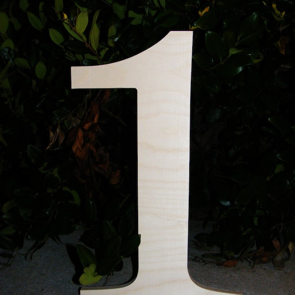 20" Birthday Large wooden number - Photography prop- First Birthday - One Sign Cutout - Backdrop Greenery - First step