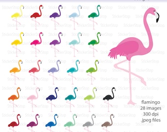 Fenicottero Rainbow Digital Clipart - file PNG download immediato