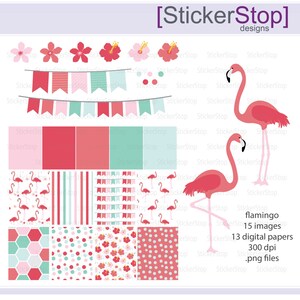 Flamingo Paper Pack and Digital Clipart - Instant download PNG files