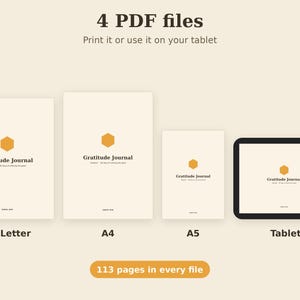 Utskrivbar tacksamhetsdagbok, dagliga affirmationer, humörspårare, reflektionsuppmaningar PDF, brev A4 A5-tavla bild 6