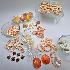 May include: A collection of assorted seashells, including loose shell fragments in a clear plastic box, small shells in a glass bowl, and several strands of shell beads. Also includes flat, polished shell pendants and diamond-shaped pieces.