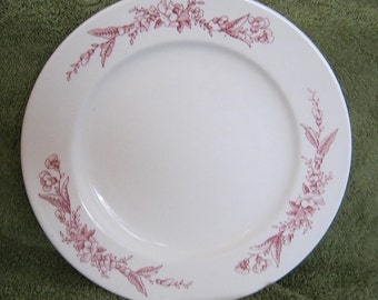 Mayer China Pink Floral Transfer Diner Lunch Salad Plate 9 inch Restaurant Ware 1950s backstamp