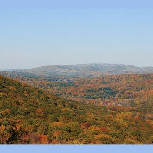 May include: A wide landscape view of a dense forest during autumn, featuring a vibrant mix of orange, red, yellow, and green foliage covering rolling hills under a clear, pale blue sky with distant, hazy mountains on the horizon.