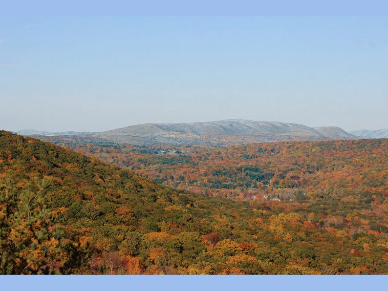 May include: A wide landscape view of a dense forest during autumn, featuring a vibrant mix of orange, red, yellow, and green foliage covering rolling hills under a clear, pale blue sky with distant, hazy mountains on the horizon.