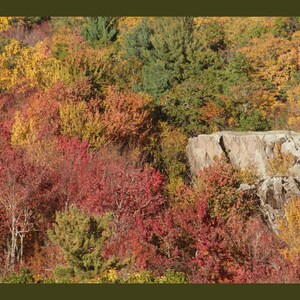 May include: A dense forest landscape featuring a large, light gray rock formation surrounded by trees with vibrant autumn foliage in shades of red, orange, yellow, and green, showcasing the seasonal color transition of the deciduous trees.