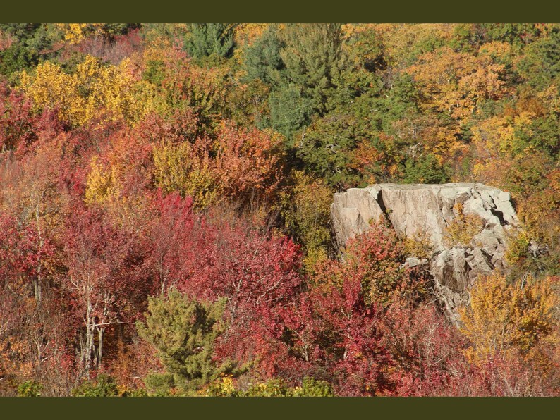 May include: A dense forest landscape featuring a large, light gray rock formation surrounded by trees with vibrant autumn foliage in shades of red, orange, yellow, and green, showcasing the seasonal color transition of the deciduous trees.
