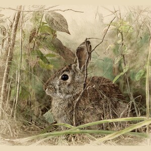 May include: A brown rabbit with dark eyes sits amidst tall green grass and thin branches. The artwork features a detailed sketch-like style with soft watercolor tones, depicting the animal in a natural, foliage-filled environment.