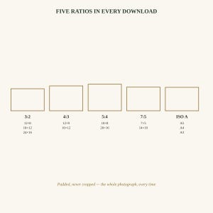 K&ouml;nnte beinhalten: Eine digitale Grafik mit der Aufschrift FIVE RATIOS IN EVERY DOWNLOAD und f&uuml;nf rechteckigen Umrissen, beschriftet mit 3:2, 4:3, 5:4, 7:5 und ISO A, inklusive Zoll-Ma&szlig;en und dem Text Padded, never cropped &mdash; the whole photograph, every time.