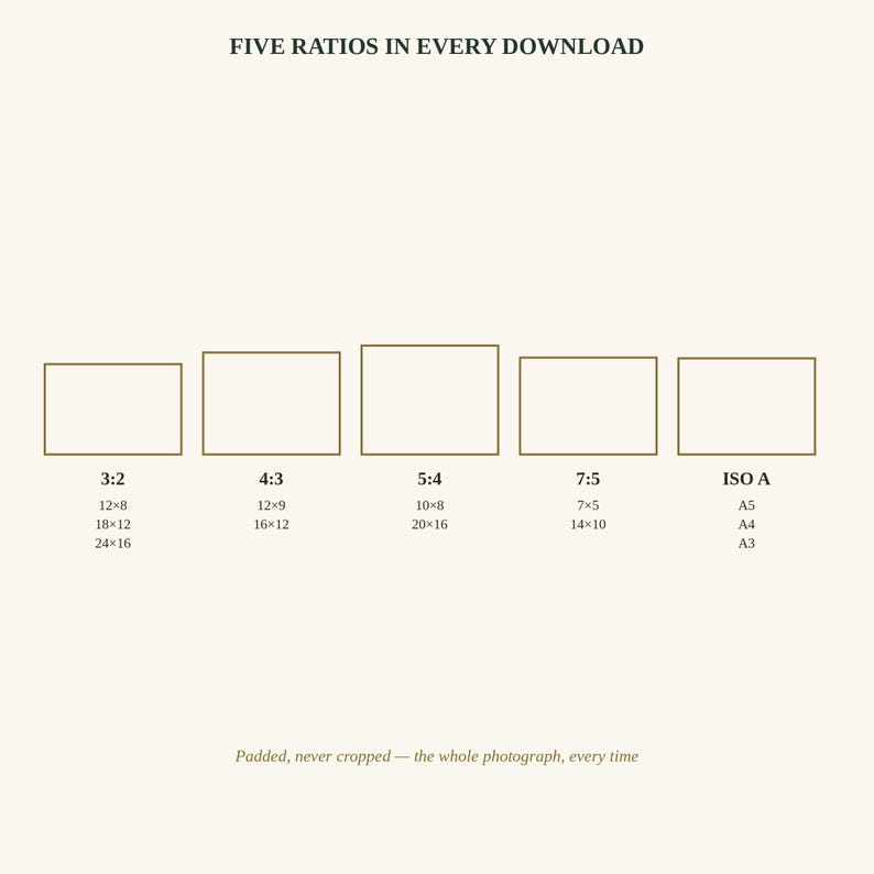 K&ouml;nnte beinhalten: Eine digitale Grafik mit der Aufschrift FIVE RATIOS IN EVERY DOWNLOAD und f&uuml;nf rechteckigen Umrissen, beschriftet mit 3:2, 4:3, 5:4, 7:5 und ISO A, inklusive Zoll-Ma&szlig;en und dem Text Padded, never cropped &mdash; the whole photograph, every time.