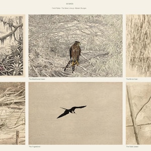 Bird Wall Art Set of 6 | Harpy Eagle Engraving Prints, Vintage Gallery Wall Decor | Printable Wall Art Digital Download