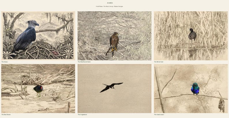 Vogel-Wandbild-Set (6-teilig) | Harpyienadler-Gravurdrucke, Vintage-Galerie-Wanddeko | Druckbare Wandkunst zum digitalen Download Bild 1