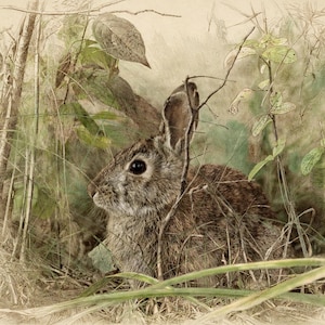 K&ouml;nnte beinhalten: Eine detaillierte Illustration eines braunen Kaninchens mit dunklen Augen, das zwischen hohem Gras und d&uuml;nnen Zweigen sitzt. Das Kunstwerk zeigt eine Mischung aus skizzenhaften Umrissen und weichen Aquarelltexturen in gedeckten Erdt&ouml;nen.