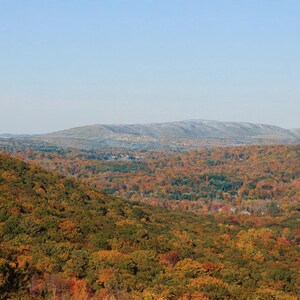 May include: A wide landscape view of a dense forest during autumn, featuring a vibrant canopy of orange, red, yellow, and green leaves. In the distance, rolling mountains rise under a clear, pale blue sky, creating a vast horizon.