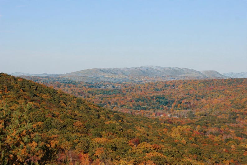 May include: A wide landscape view of a dense forest during autumn, featuring a vibrant canopy of orange, red, yellow, and green leaves. In the distance, rolling mountains rise under a clear, pale blue sky, creating a vast horizon.