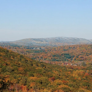 May include: A wide landscape view of a dense forest during autumn, featuring a vibrant canopy of orange, red, yellow, and green leaves. In the distance, rolling mountains rise against a clear, pale blue sky under bright daylight.