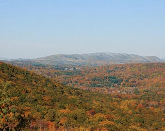 May include: A wide landscape view of a dense forest during autumn, featuring a vibrant canopy of orange, red, yellow, and green leaves. In the distance, rolling mountains rise against a clear, pale blue sky under bright daylight.