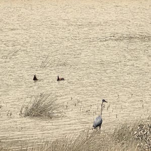 May include: A sepia-toned landscape featuring a tall grey heron standing in shallow water near grassy reeds. Two small dark birds swim in the rippling water in the distance. The scene is rendered with a sketch-like texture throughout.