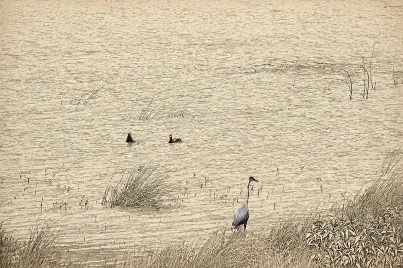 May include: A sepia-toned landscape featuring a tall grey heron standing in shallow water near grassy reeds. Two small dark birds swim in the rippling water in the distance. The scene is rendered with a sketch-like texture throughout.