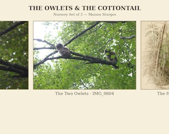 May include: A nursery set of three prints titled THE OWLETS & THE COTTONTAIL by Maison Sturges. The set includes The Owlet - IMG_0614, The Two Owlets - IMG_0604, and The Hidden Cottontail - Deposit 1, featuring owls on branches and a rabbit.