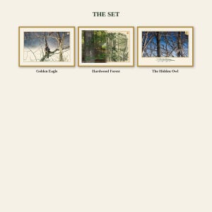 K&ouml;nnte beinhalten: Ein Set aus drei gerahmten Drucken mit dem Titel THE SET, bestehend aus Golden Eagle, Hardwood Forest und The Hidden Owl. Jeder rechteckige Druck ist gold umrandet und zeigt Naturfotografien oder Illustrationen von B&auml;umen.