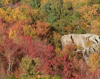 May include: A dense forest landscape during autumn, featuring a vibrant mix of red, orange, yellow, and green foliage. A large, light gray, jagged rock formation stands prominently among the colorful trees, contrasting with the surrounding leaves.