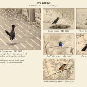 May include: A set of six bird-themed field plates titled SIX BIRDS by Maison Sturges. The collection features sepia-toned illustrations of a roadrunner, green heron, great blue heron, violet jewel, cactus wren, and black-headed grosbeak.
