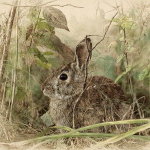 May include: A detailed illustration of a brown rabbit with dark eyes, positioned among tall grasses and thin branches. The artwork features a blend of sketch-like outlines and soft watercolor textures in muted earth tones of green and brown.