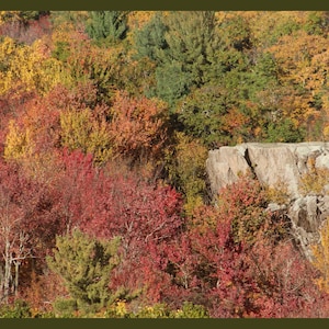 May include: A dense forest landscape during autumn, featuring a vibrant mix of red, orange, yellow, and green foliage. A large, light gray, jagged rock formation stands prominently among the colorful trees, contrasting with the surrounding leaves.