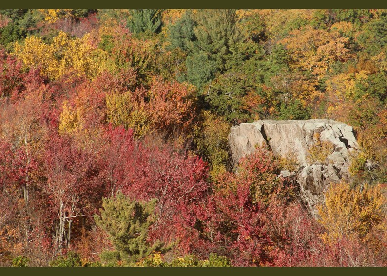 May include: A dense forest landscape during autumn, featuring a vibrant mix of red, orange, yellow, and green foliage. A large, light gray, jagged rock formation stands prominently among the colorful trees, contrasting with the surrounding leaves.