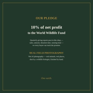 K&ouml;nnte beinhalten: Eine dunkelgr&uuml;ne Infografik mit goldenem Text: OUR PLEDGE, 10% of net profit to the World Wildlife Fund, Quarterly giving reports post in this shop, REAL FIELD PHOTOGRAPHY, Not AI photography, und One earth.