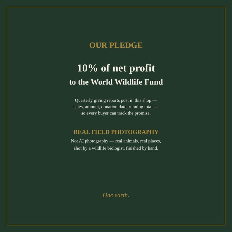 K&ouml;nnte beinhalten: Eine dunkelgr&uuml;ne Infografik mit goldenem Text: OUR PLEDGE, 10% of net profit to the World Wildlife Fund, Quarterly giving reports post in this shop, REAL FIELD PHOTOGRAPHY, Not AI photography, und One earth.