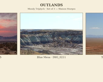 May include: A triptych set titled OUTLANDS Moody Triptych Set of 3 Maison Sturgos featuring three landscape photographs: Desert Dusk IMG_0625 with a pink sunset, Blue Mesa IMG_0211 showing layered rock formations, and To the Peaks IMG_0159.
