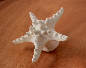 Extra Large starfish door knob. Front door, bathroom and kitchen handle.