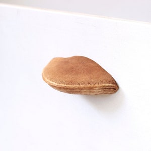 Tree mushroom drawer knobs. Lake, farmhouse decor cupboard knob. Kitchen pulls furniture pulls cabinet handles