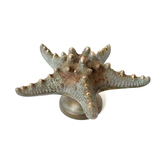 Könnte beinhalten: Ein grüner und goldener Metall-Seestern mit runder Basis. Der Seestern ist ein Dekorationsobjekt.