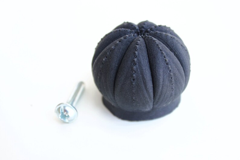 May include: A matte black cabinet knob with a rounded, segmented, pumpkin-like shape featuring small, raised dots along each vertical ridge. The knob is accompanied by a single silver-colored metal machine screw with a flat head and threaded shaft.
