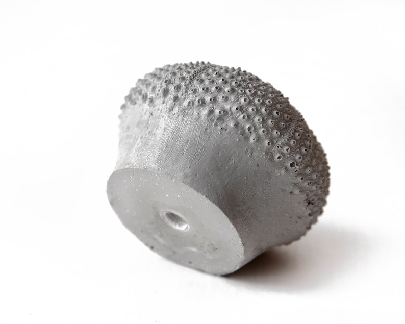 May include: A gray concrete knob with a textured surface resembling a sea urchin. The knob has a small hole in the center.