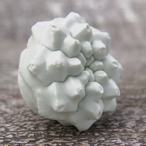 May include: A white, spiky, round, organic object with a textured surface. The object is made of a material that looks like coral or a sea sponge.