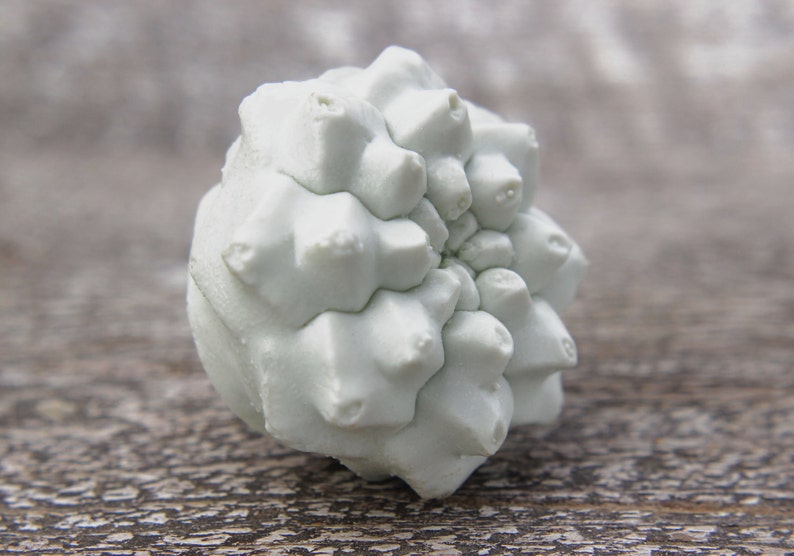 May include: A white, spiky, round, organic object with a textured surface. The object is made of a material that looks like coral or a sea sponge.