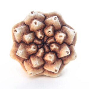 May include: A decorative knob featuring a multi-layered, geometric, star-shaped design with a radial pattern. The object has a textured, organic appearance with a gradient of light cream to dark brown tones, resembling a carved or moulded floral form.