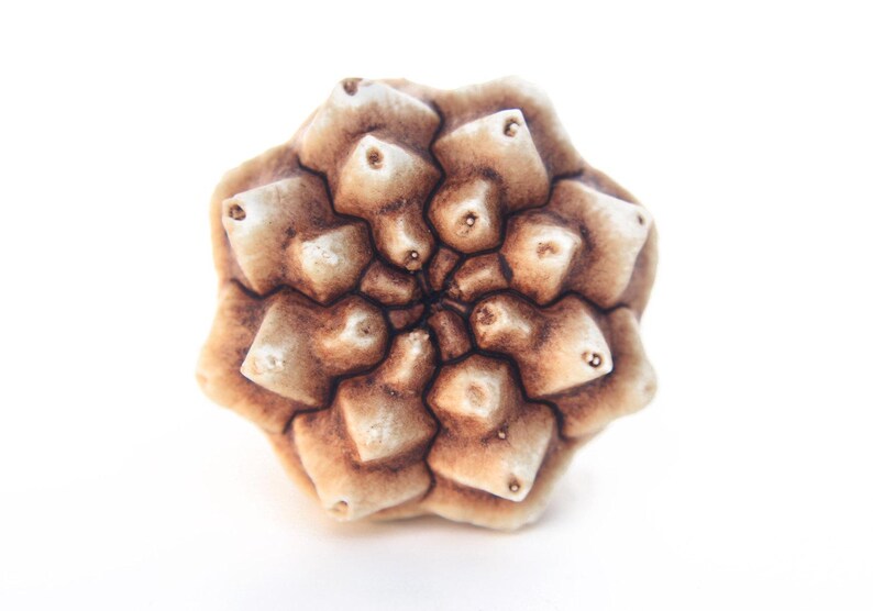 May include: A decorative knob featuring a multi-layered, geometric, star-shaped design with a radial pattern. The object has a textured, organic appearance with a gradient of light cream to dark brown tones, resembling a carved or moulded floral form.
