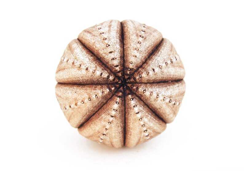 May include: A spherical object with a textured, light brown surface featuring radial segments and small, evenly spaced indentations along the ridges, resembling the natural form of a sea urchin test, presented against a plain white background.