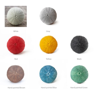 Beach house cupboard knobs drawer knobs cabinet knobs dresser knobs decorative knobs kitchen hardware furniture hardware sea urchin image 5