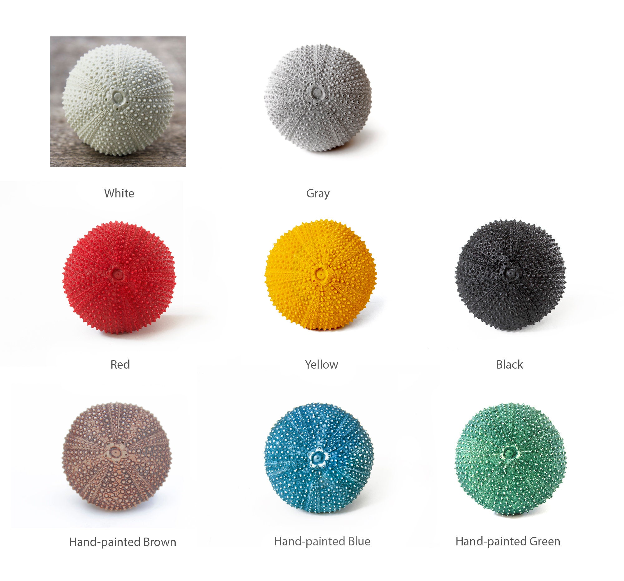 Strand Haus Schrank Knöpfe Schublade Knöpfe Schrank Knöpfe | Etsy