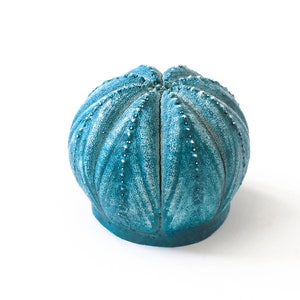 May include: A round, teal-coloured decorative object resembling a sea urchin shell. The surface features a textured, ribbed pattern with small, raised white dots along the ridges, creating a weathered appearance on the rounded, dome-shaped form.