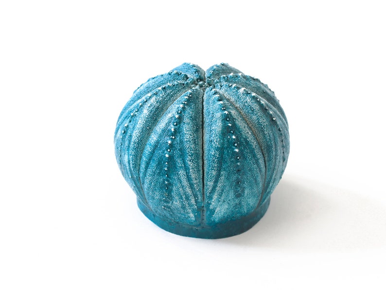 May include: A round, teal-coloured decorative object resembling a sea urchin shell. The surface features a textured, ribbed pattern with small, raised white dots along the ridges, creating a weathered appearance on the rounded, dome-shaped form.
