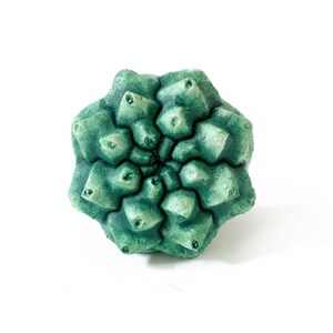 May include: A sculptural object shaped like a succulent plant with a geometric, multi-layered structure. The surface features a textured, matte finish in varying shades of deep forest green and lighter sage green, creating a realistic botanical appearance.