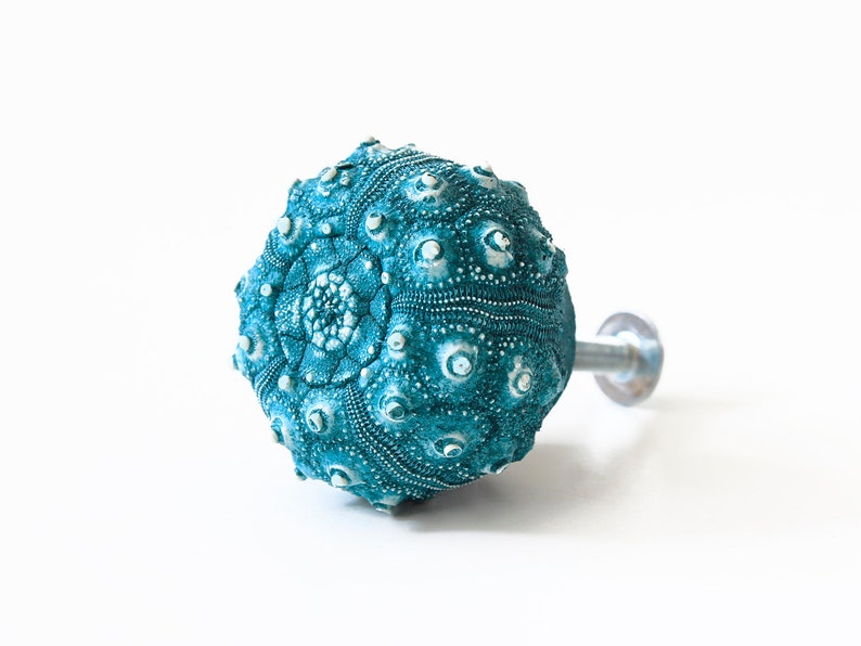 May include: Teal blue sea urchin shaped cabinet knob with a silver metal screw.