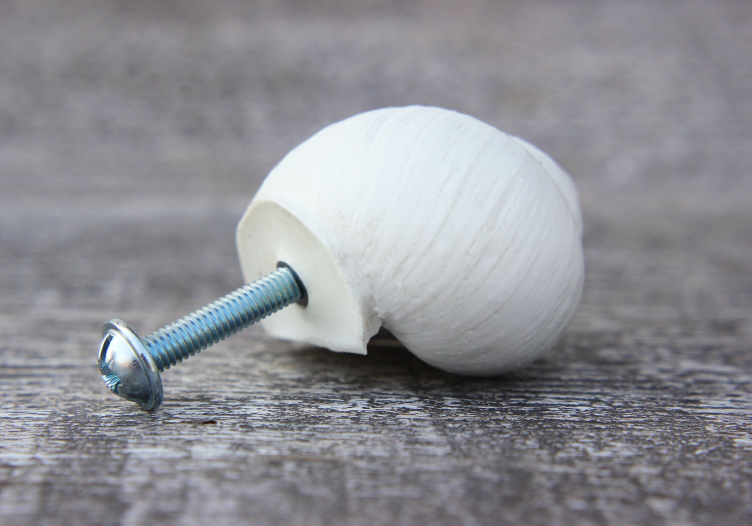 Decorative Knobs Drawer Knobs Drawer Handle Beach House Cabinet Knobs